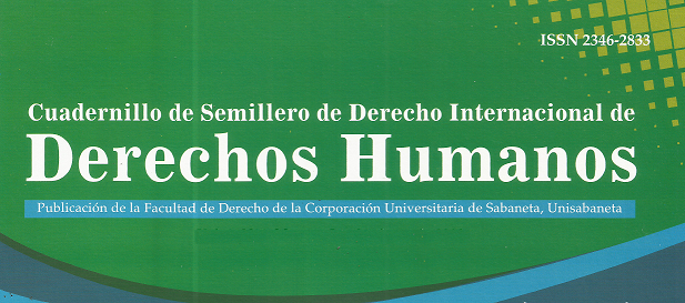 Cuadernillo de Semillero de Derecho Internacional de Derechos Humanos